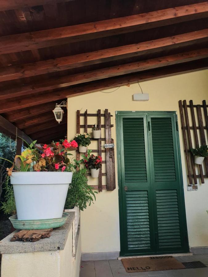 Andrea'S House Villa Fiumicino Buitenkant foto